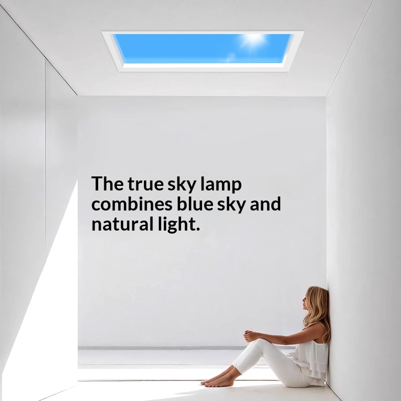 Ultra Thin Smart Integrated LE - Lighting Effect Home Decor 评论和价格